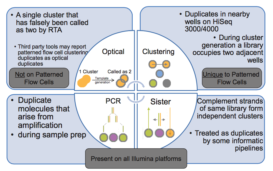 Example of duplicates